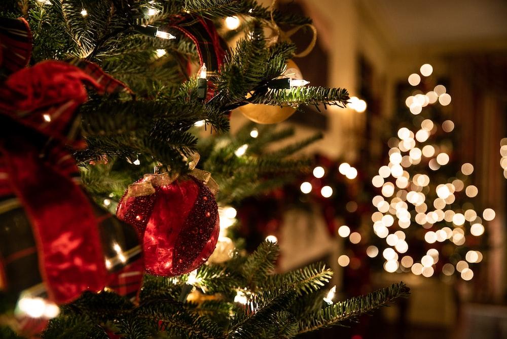 Christmas Lighted Topiary