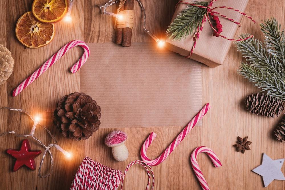 Gorgeous Ideas to Decorate Your Curb This Christmas!